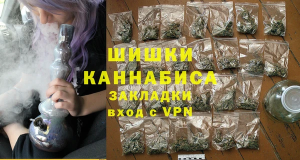 мдпв Михайлов