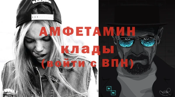 мдпв Михайлов