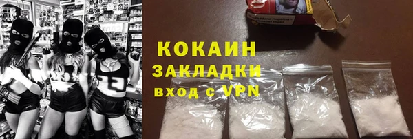 твердый Михайловск